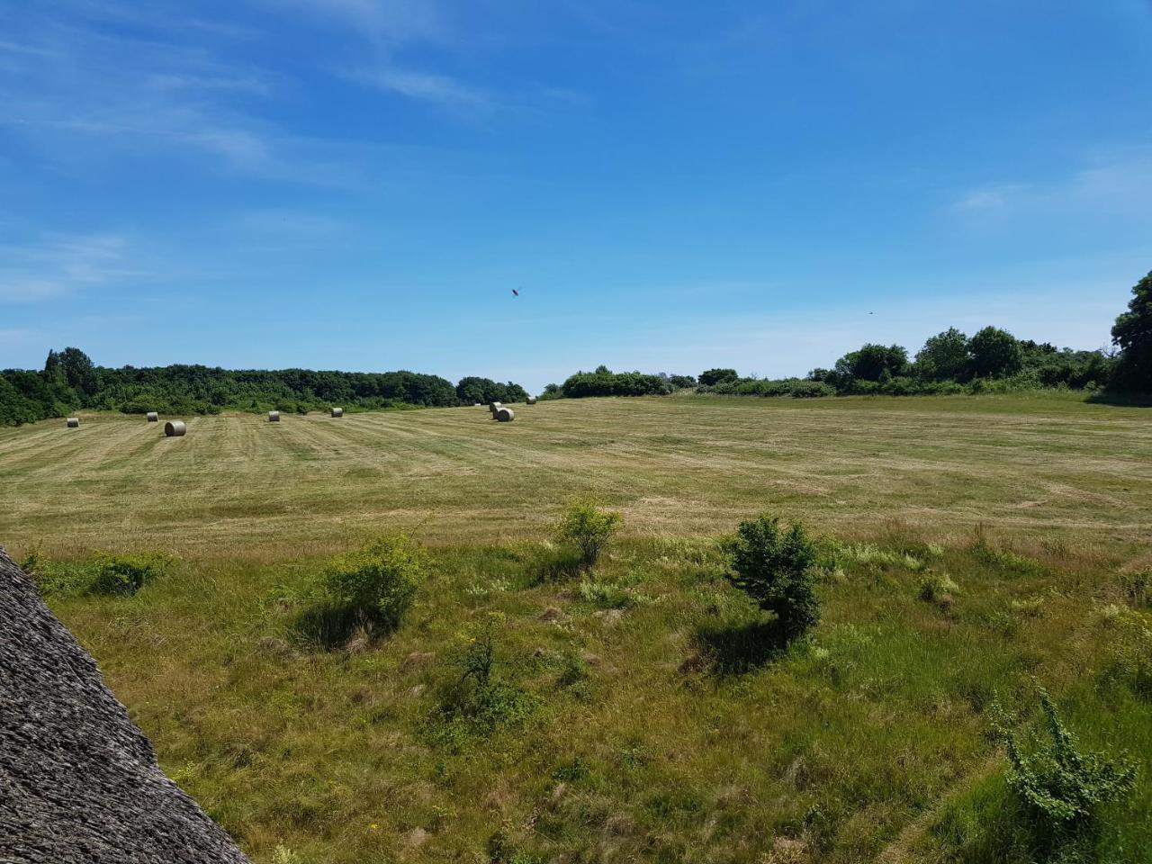Fewo 18 Im Strandhaus Lobbe Mit Balkon Экстерьер фото